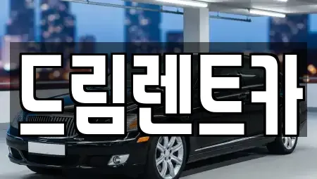 경기 안양시 동안구 평촌동 렌트카 전문 드림렌트카