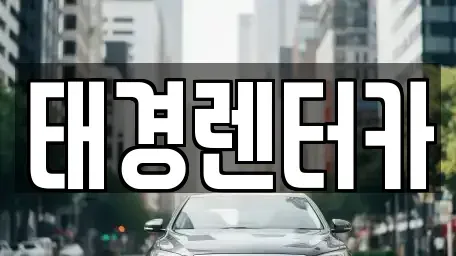 경기 안양시 동안구 평촌동 렌트카 전문 태경렌터카