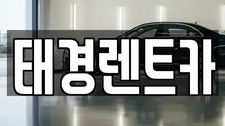 경기 안양시 동안구 평촌동 렌트카 전문 태경렌트카