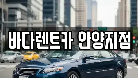 경기 안양시 동안구 평촌동 장기렌트카 전문 바다렌트카 안양지점