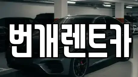 경기 안양시 동안구 평촌동 장기렌트카 전문 번개렌트카