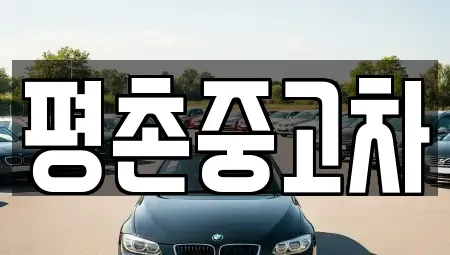 경기 안양시 동안구 평촌동 중고차 전문 평촌중고차