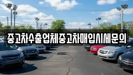 경기 안양시 동안구 평촌동 중고차매입 전문 중고차수출업체중고차매입시세문의