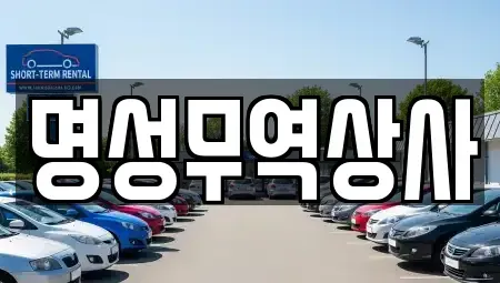 경기 양주시 남면 중고차매매,단기렌트카,중고차매입,장기렌트카,중고차,렌트카