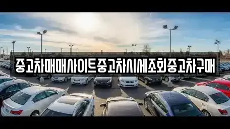 경기 양주시 남면 중고차매매 전문 중고차매매사이트중고차시세조회중고차구매