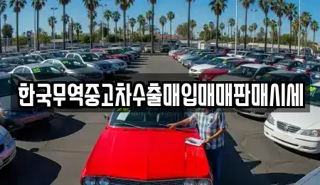 경기 양주시 남면 중고차매입 전문 한국무역중고차수출매입매매판매시세