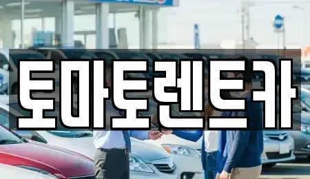 경기 양평군 단월면 렌트카 전문 토마토렌트카