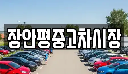 경기 양평군 단월면 중고차 전문 장안평중고차시장