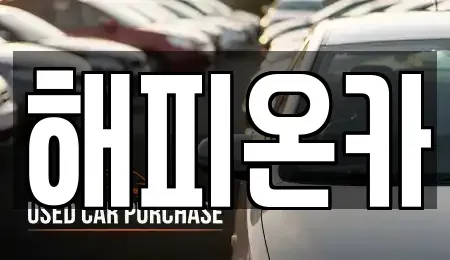 경기 양평군 단월면 중고차 전문 해피온카