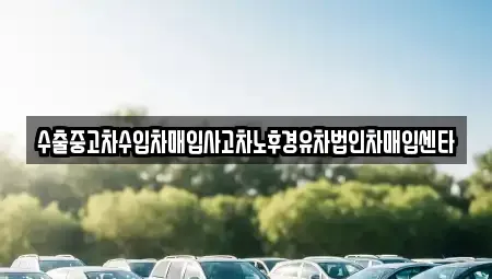 경기 양평군 단월면 중고차매입 전문 수출중고차수입차매입사고차노후경유차법인차매입센타