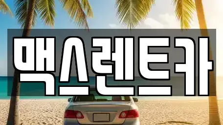 경기 용인시 기흥구 마북동 렌트카 전문 맥스렌트카