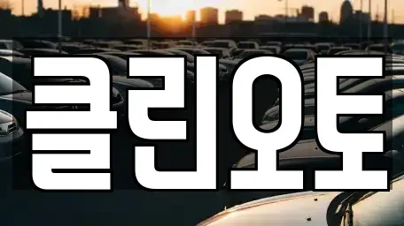 경기 용인시 기흥구 마북동 중고차매매 전문 클린오토