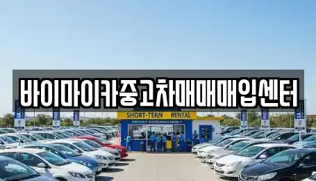 경기 용인시 기흥구 마북동 중고차매입 전문 바이마이카중고차매매매입센터
