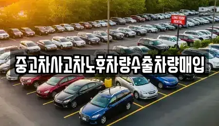경기 용인시 기흥구 마북동 중고차매입 전문 중고차사고차노후차량수출차량매입