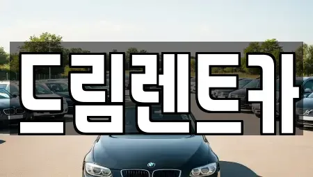 경기 의왕시 내손동 렌트카 전문 드림렌트카