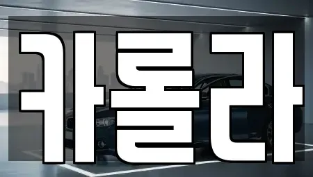 경기 의왕시 내손동 중고차 전문 카롤라
