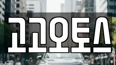 경기 의왕시 삼동 렌트카 전문 고고오토스