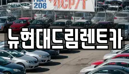 경기 의왕시 삼동 렌트카 전문 뉴현대드림렌트카