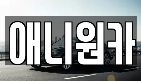 경기 의왕시 삼동 장기렌트카 전문 애니원카
