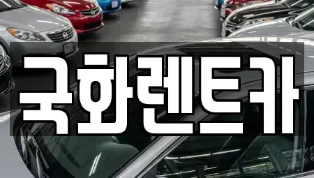경기 의정부시 렌트카 전문 국화렌트카