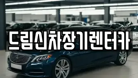 경기 의정부시 장기렌트카 전문 드림신차장기렌터카