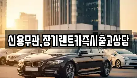 경기 의정부시 장기렌트카 전문 신용무관,장기렌트카즉시출고상담