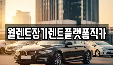 경기 의정부시 장기렌트카 전문 월렌트장기렌트플랫폼직카