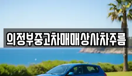 경기 의정부시 중고차 전문 의정부중고차매매상사차주름