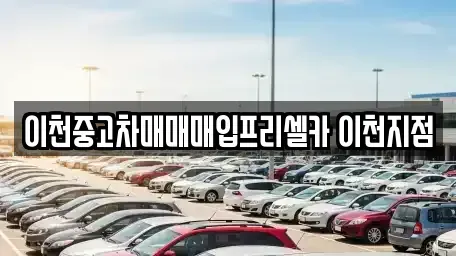 경기 이천시 백사면 중고차 전문 이천중고차매매매입프리셀카 이천지점