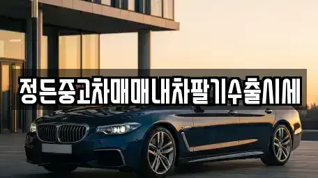 경기 이천시 백사면 중고차 전문 정든중고차매매내차팔기수출시세