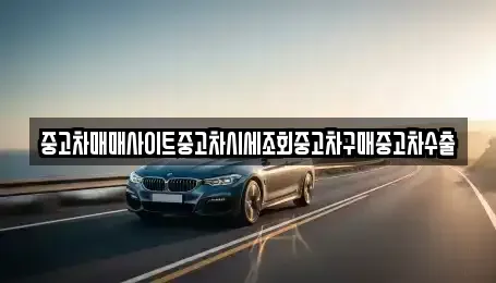 경기 이천시 백사면 중고차 전문 중고차매매사이트중고차시세조회중고차구매중고차수출