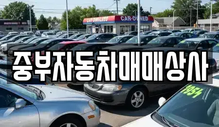 경기 이천시 중리동 중고차매매 전문 중부자동차매매상사