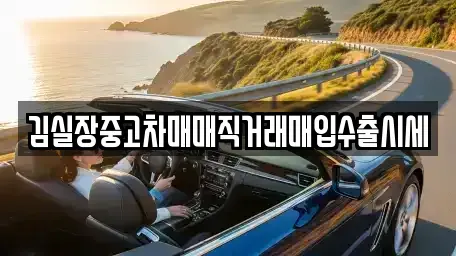 경기 파주시 광탄면 중고차 전문 김실장중고차매매직거래매입수출시세