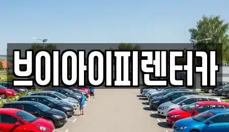 경기 파주시 동패동 렌트카 전문 브이아이피렌터카