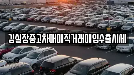 경기 파주시 동패동 중고차 전문 김실장중고차매매직거래매입수출시세