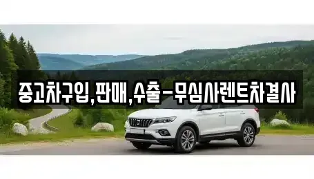 경기 파주시 동패동 중고차 전문 중고차구입,판매,수출-무심사렌트차결사