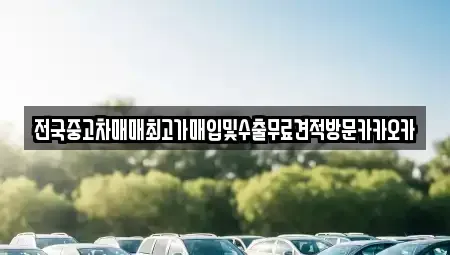 경기 파주시 파평면 중고차 전문 전국중고차매매최고가매입및수출무료견적방문카카오카