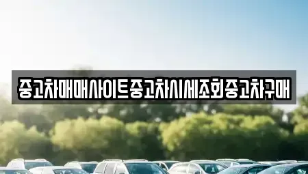 경기 파주시 파평면 중고차 전문 중고차매매사이트중고차시세조회중고차구매