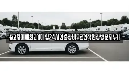 경기 파주시 파평면 중고차 전문 중고차매매최고가매입24시간출장비무료견적현장방문지누카