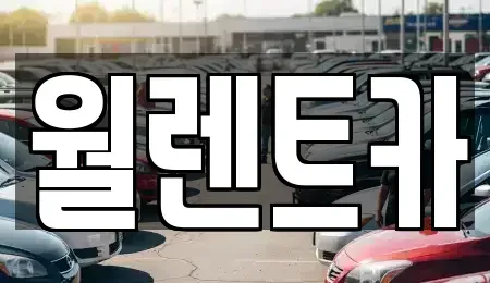 경기 평택시 모곡동 렌트카 전문 월렌트카