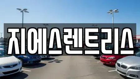 경기 평택시 모곡동 렌트카 전문 지에스렌트리스
