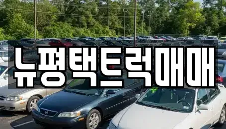 경기 평택시 모곡동 중고차 전문 뉴평택트럭매매