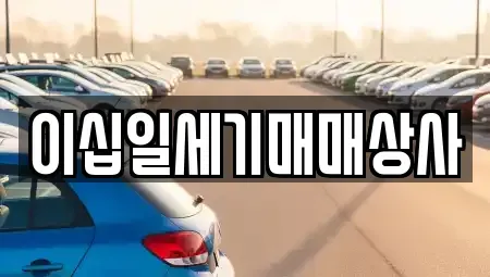 경기 평택시 모곡동 중고차 전문 이십일세기매매상사