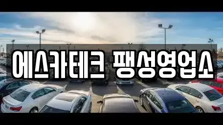 경기 평택시 소사동 렌트카 전문 에스카테크 팽성영업소