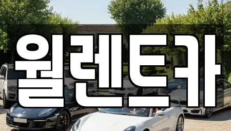 경기 평택시 소사동 렌트카 전문 월렌트카