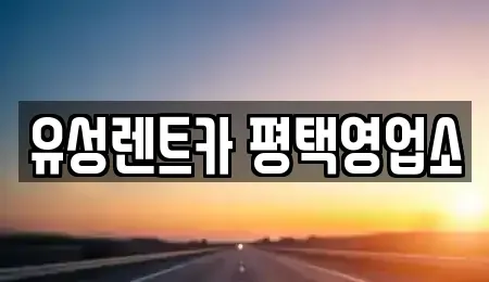 경기 평택시 소사동 렌트카 전문 유성렌트카 평택영업소
