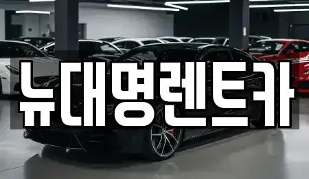 경기 평택시 지제동 렌트카 전문 뉴대명렌트카