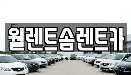 경기 평택시 지제동 렌트카 전문 월렌트솜렌트카