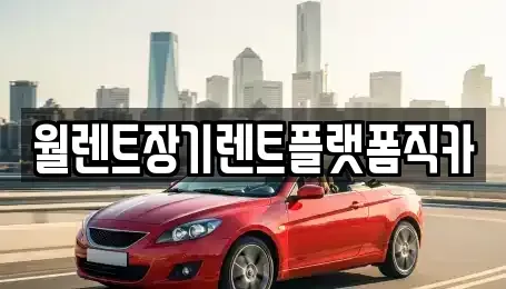 경기 평택시 지제동 렌트카 전문 월렌트장기렌트플랫폼직카