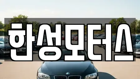 경기 평택시 지제동 중고차매매 전문 한성모터스